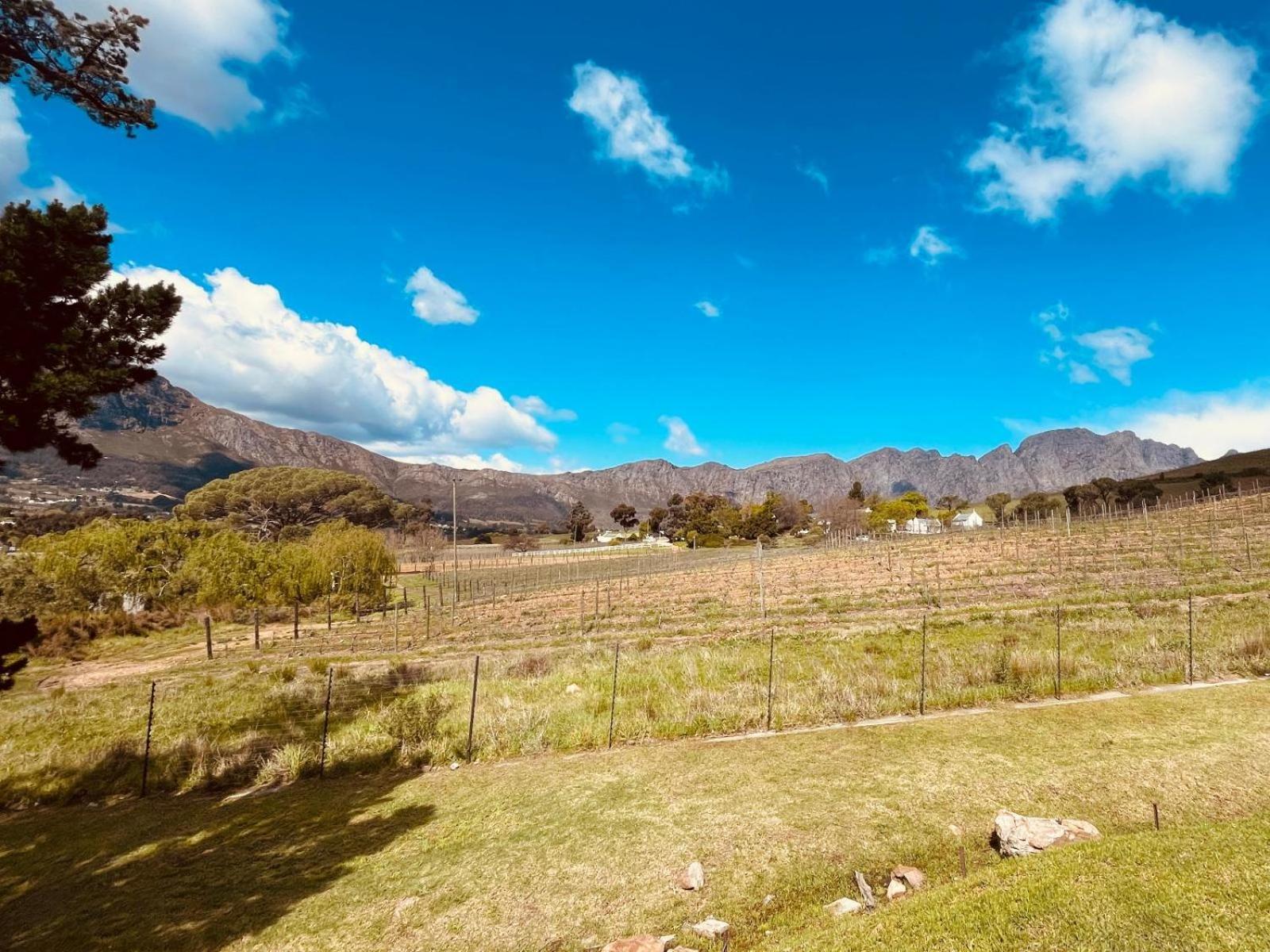 Sugarbee Cottages Franschhoek Extérieur photo