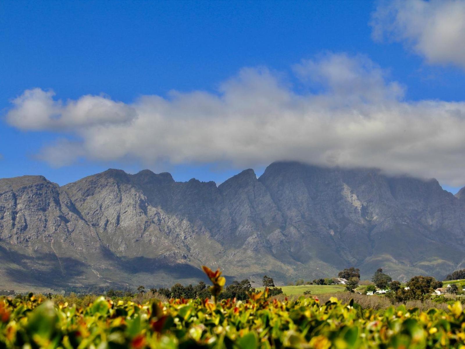 Sugarbee Cottages Franschhoek Extérieur photo