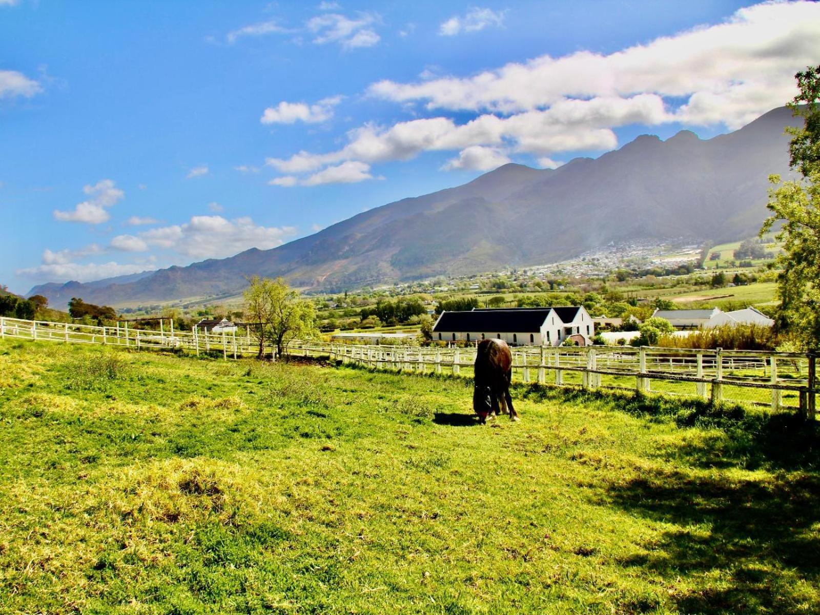 Sugarbee Cottages Franschhoek Extérieur photo